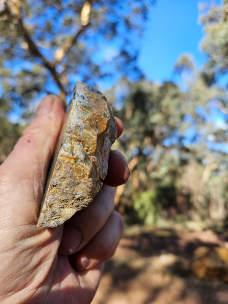 Polished Dendritic Opal DO153