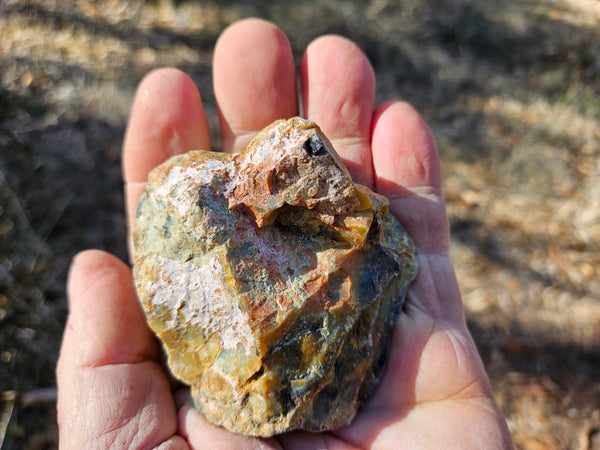 Polished Dendritic Opal DO153