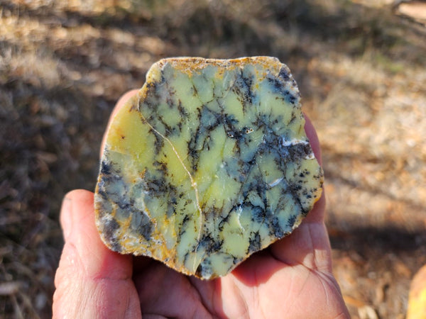 Polished Dendritic Opal DO153