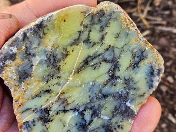 Polished Dendritic Opal DO153