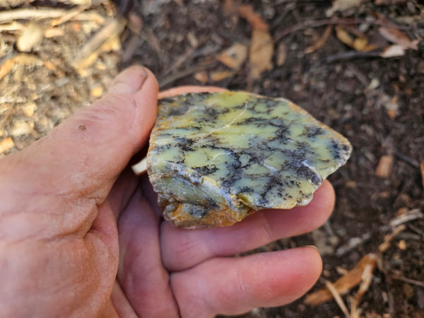Polished Dendritic Opal DO153