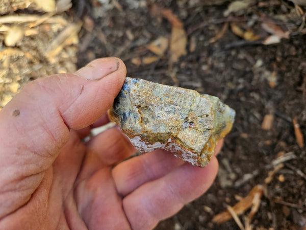 Polished Dendritic Opal DO153