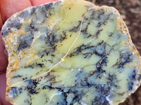 Polished Dendritic Opal DO153