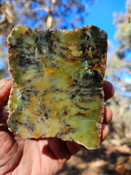 Polished Dendritic Opal DO154
