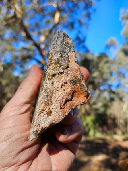 Polished Dendritic Opal DO154