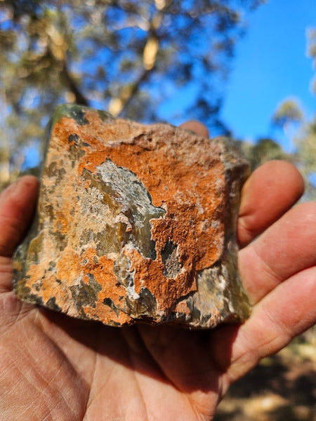 Polished Dendritic Opal DO154