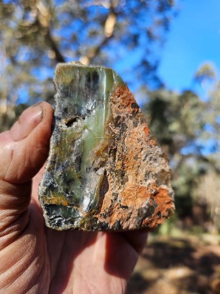 Polished Dendritic Opal DO154