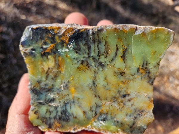 Polished Dendritic Opal DO154