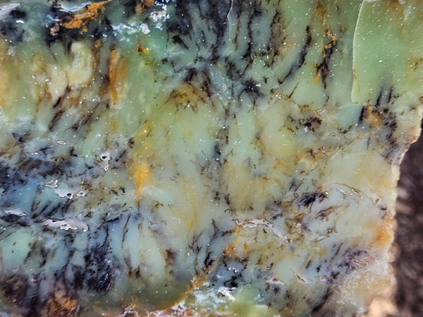 Polished Dendritic Opal DO154