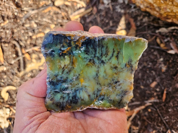 Polished Dendritic Opal DO154