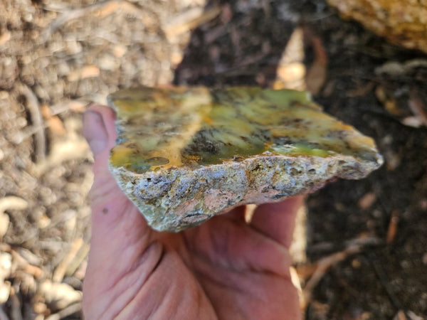 Polished Dendritic Opal DO154