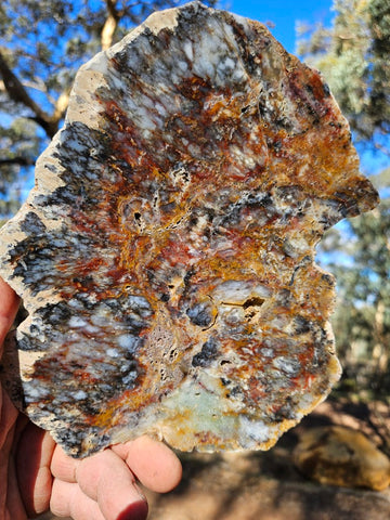 Polished Dendritic Opal DO163