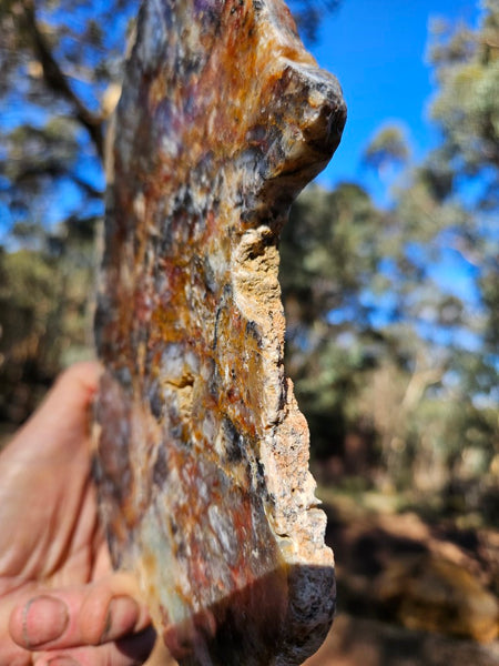 Polished Dendritic Opal DO163