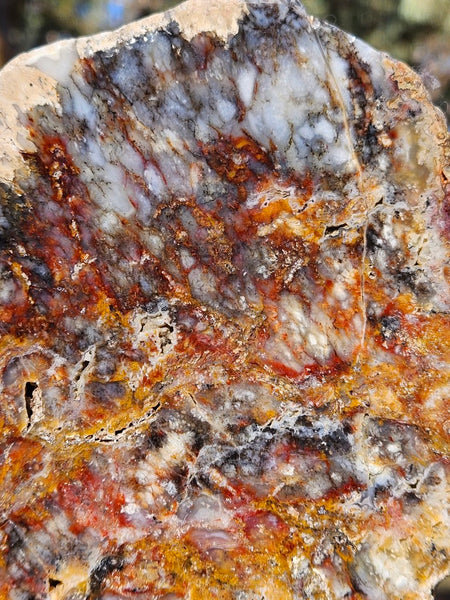 Polished Dendritic Opal DO163