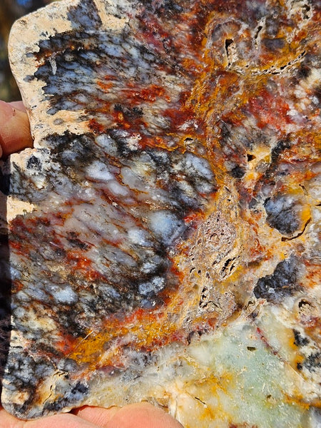 Polished Dendritic Opal DO163