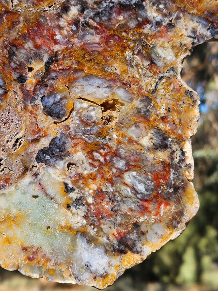 Polished Dendritic Opal DO163