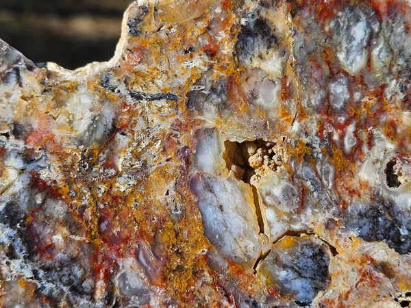 Polished Dendritic Opal DO163