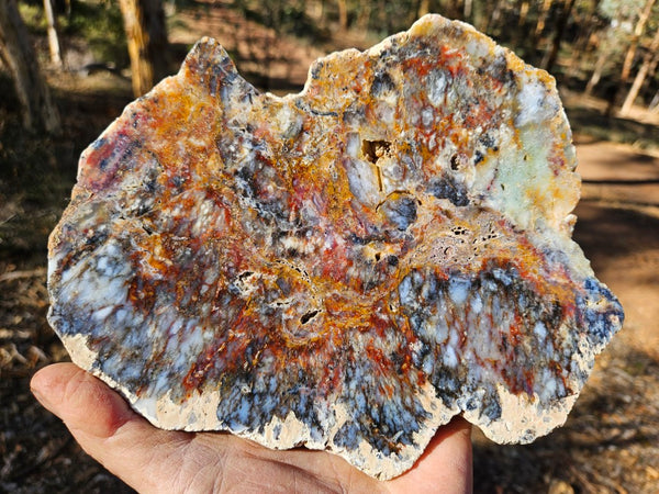 Polished Dendritic Opal DO163