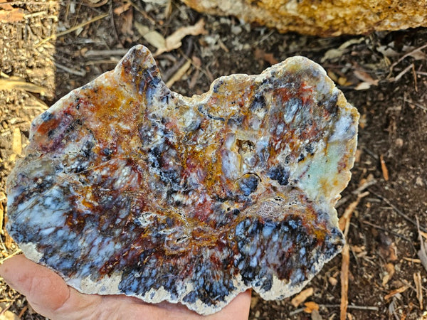 Polished Dendritic Opal DO163