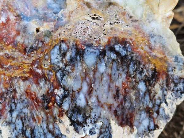 Polished Dendritic Opal DO163