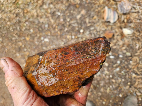 Tiger Iron rough rock TIR192
