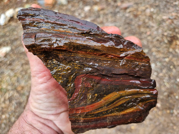 Tiger Iron rough rock TIR189