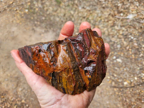 Tiger Iron rough rock TIR189