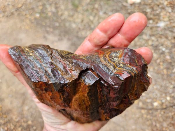 Tiger Iron rough rock TIR189