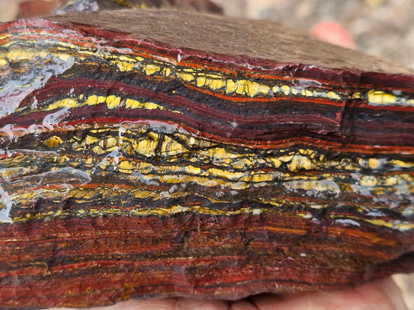 Tiger Iron rough rock TIR188