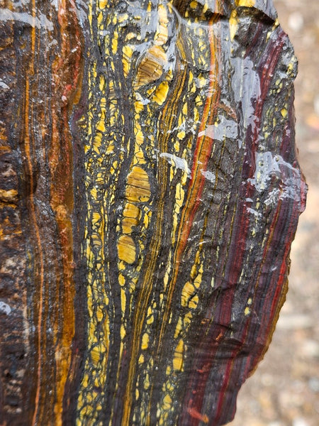 Tiger Iron rough rock TIR187
