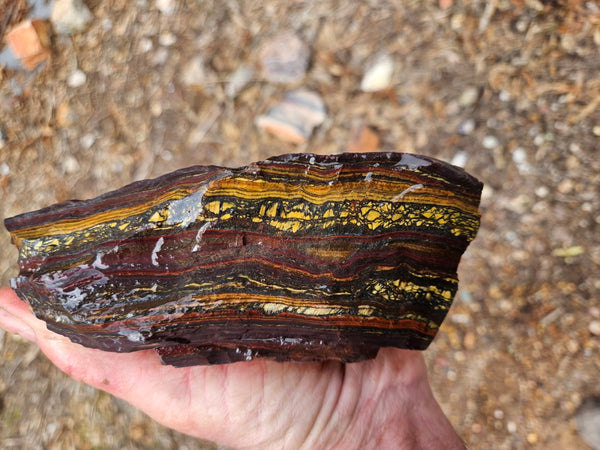 Tiger Iron rough rock TIR186