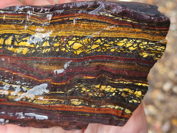 Tiger Iron rough rock TIR186