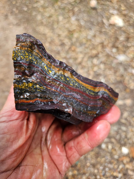 Tiger Iron rough rock TIR186