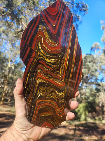 Polished Tiger Iron slab TI407
