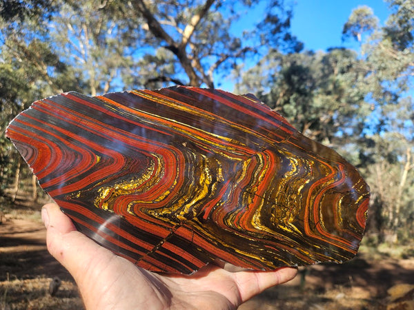 Polished Tiger Iron slab TI407