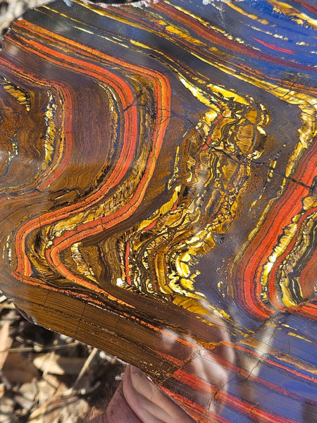 Polished Tiger Iron slab TI407