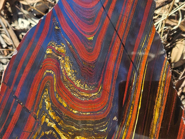 Polished Tiger Iron slab TI407