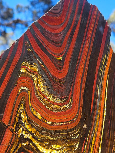 Polished Tiger Iron slab TI407