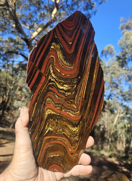 Polished Tiger Iron slab TI407