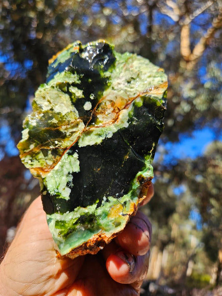 Rough Chrome Chalcedony CCR181