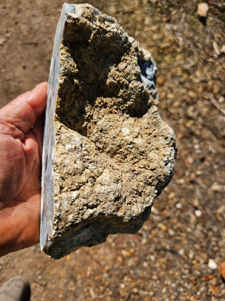 Dendritic Opal  rough.  DOR274