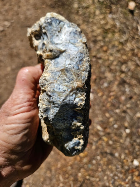 Dendritic Opal  rough.  DOR274