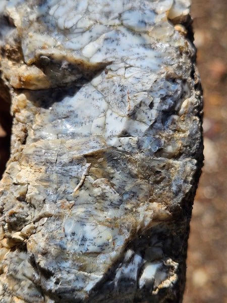Dendritic Opal  rough.  DOR274