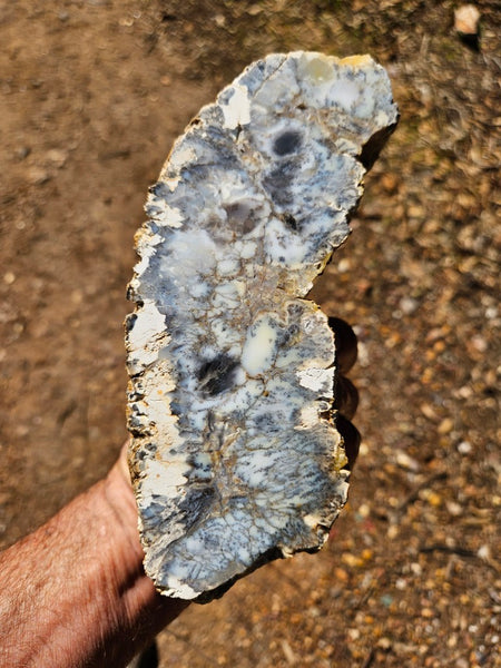 Dendritic Opal  rough.  DOR274