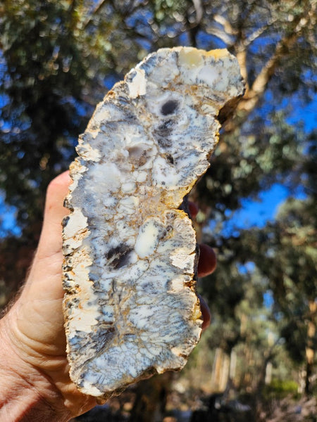 Dendritic Opal  rough.  DOR274