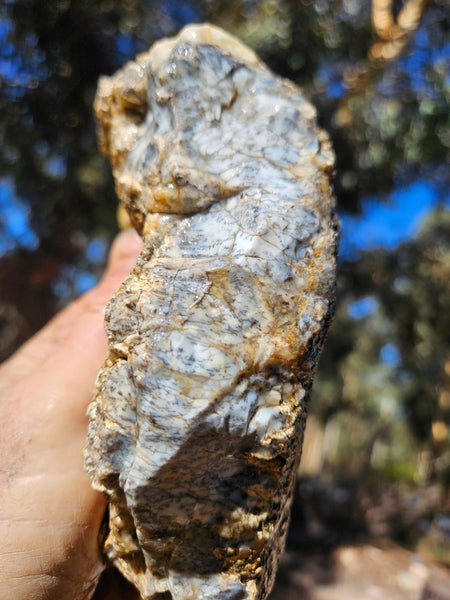Dendritic Opal  rough.  DOR274
