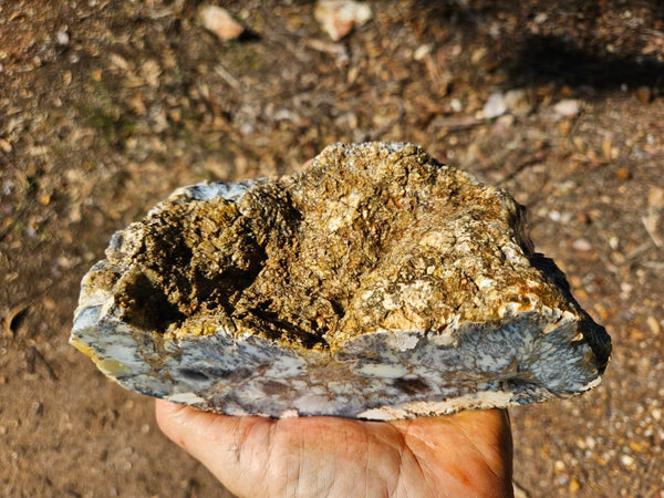 Dendritic Opal  rough.  DOR274