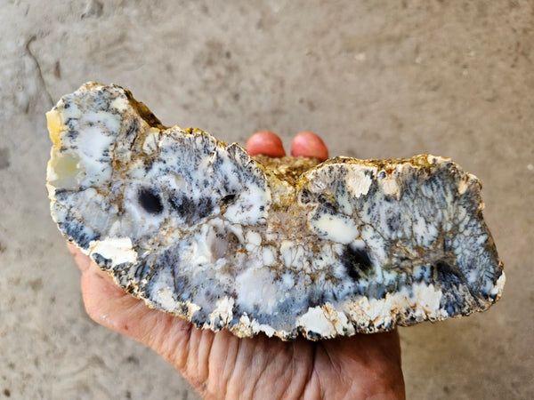 Dendritic Opal  rough.  DOR274