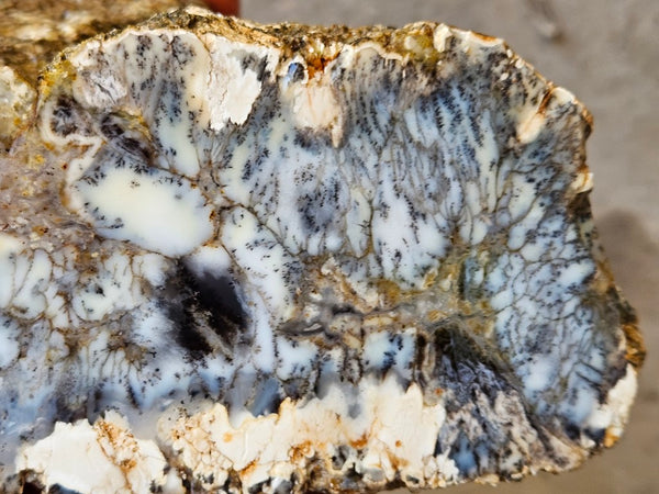 Dendritic Opal  rough.  DOR274