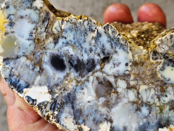 Dendritic Opal  rough.  DOR274